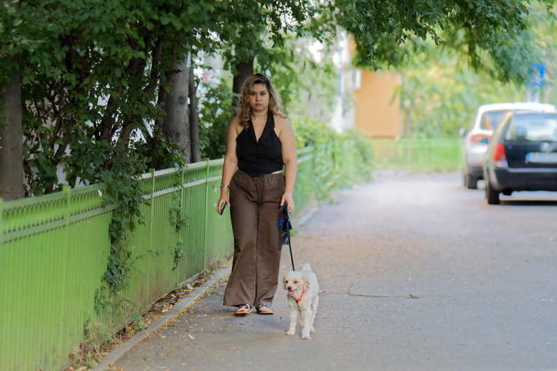 coming_soon_17 - Person walking a small white dog with a red collar along a suburban street next to a green fence